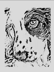 Logo von Seelenhunde – Assistenz- und Therapiehunde